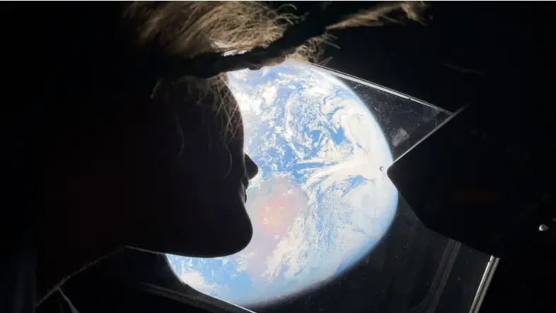 DevBrainiac Web Image